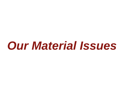 Our Material Issues 2020